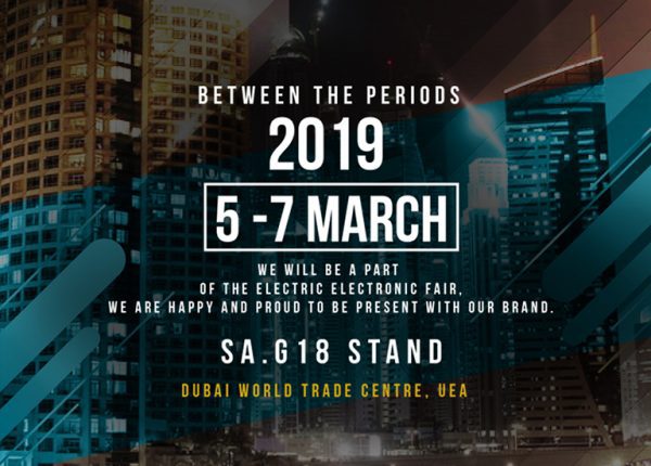 MIDDLE EAST ELECTRICITY 2019