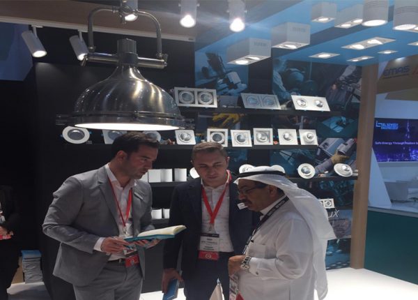 MIDDLE EAST ELECTRICITY 2019 - 1