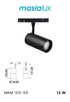 Magnet Ray Spot Ø55