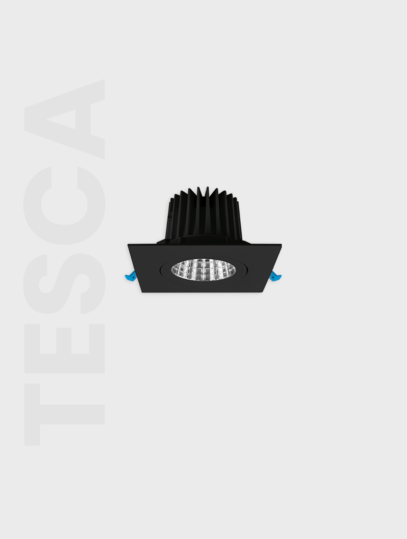 Masialux MD 101-1-100 Receessed Lighting Recessed Lighting armatürü