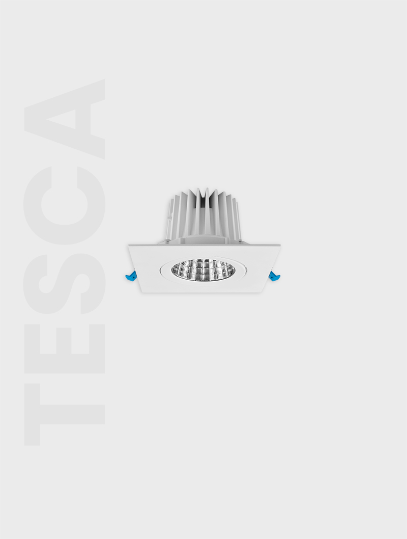 Masialux MD 101-1-100 Receessed Lighting Recessed Lighting armatürü