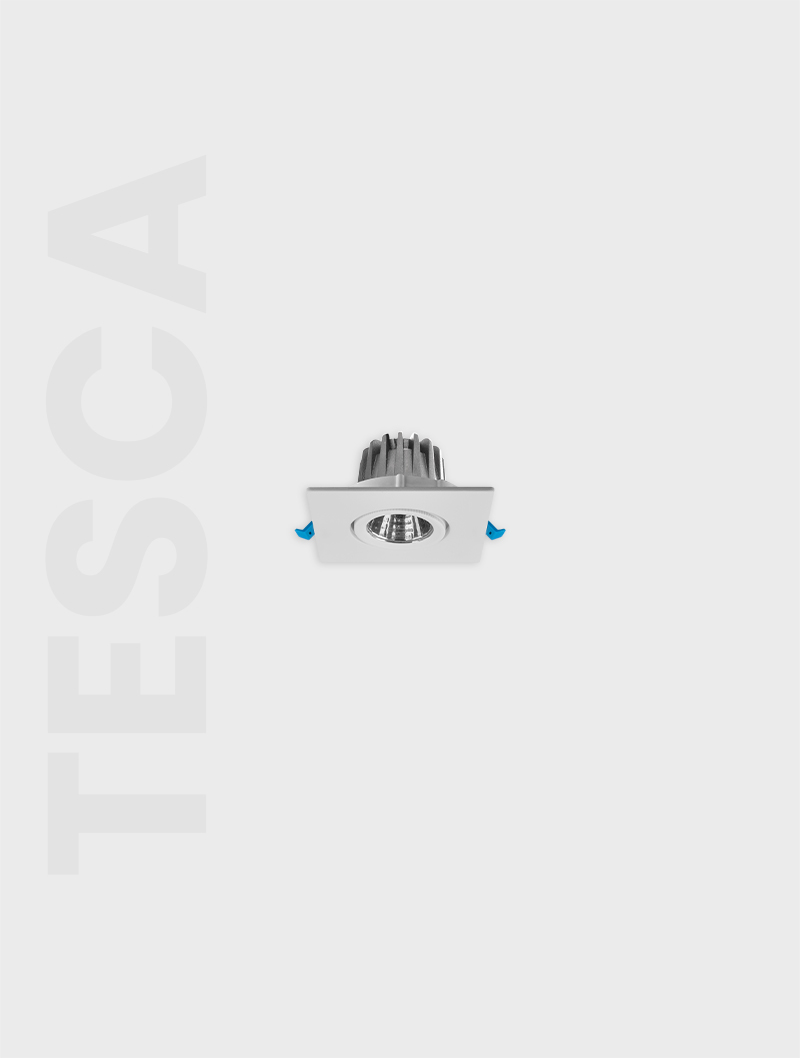 Masialux MD 101-1-60 Receessed Lighting Recessed Lighting armatürü