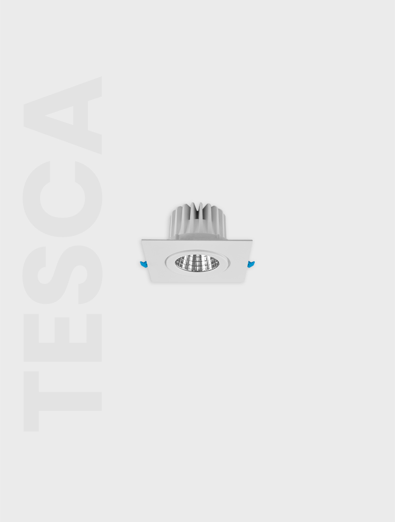 Masialux MD 101-1-85 Receessed Lighting Recessed Lighting armatürü