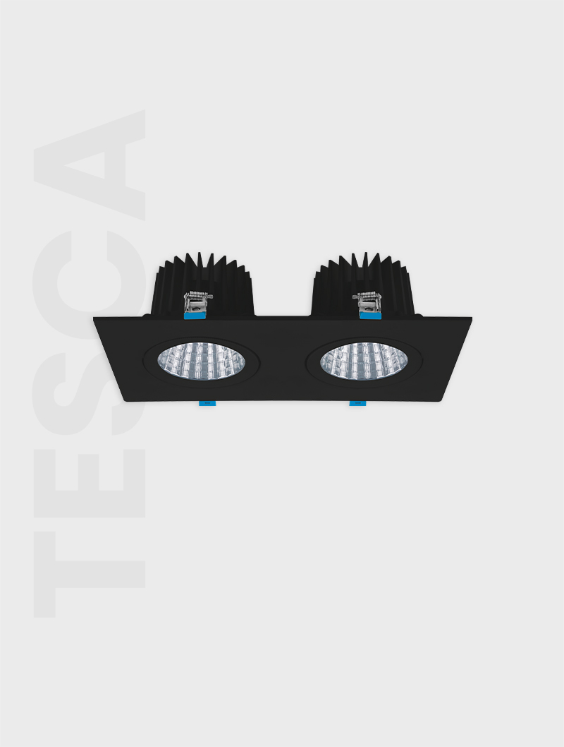 Masialux MD 101-2-118 Receessed Lighting Recessed Lighting armatürü