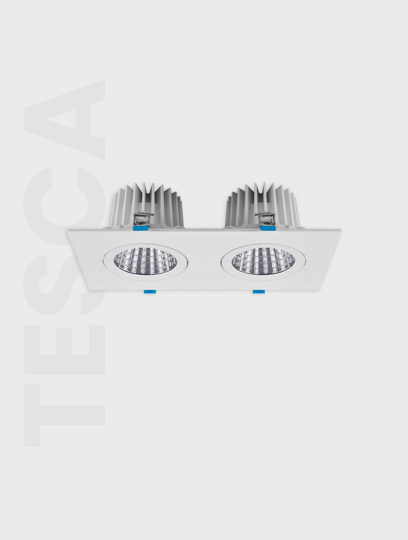 Masialux MD 101-2-118 Receessed Lighting Recessed Lighting armatürü