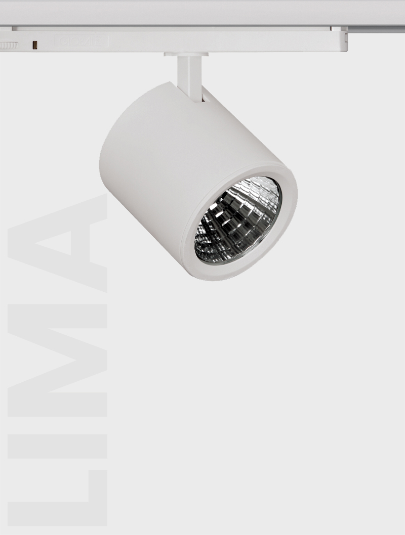 Masialux MR 1010-100 Ray Spot Aydınlatma Ray Spot armatürü
