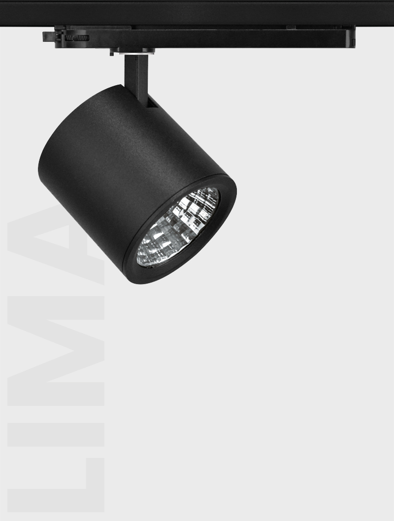 Masialux MR 1010-100 Track Spotlight Track Spotlight armatürü