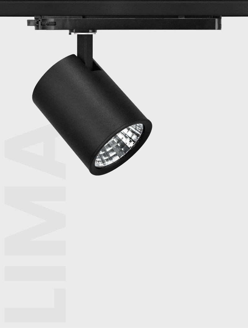 Masialux MR 1010-85 Ray Spot Aydınlatma Ray Spot armatürü