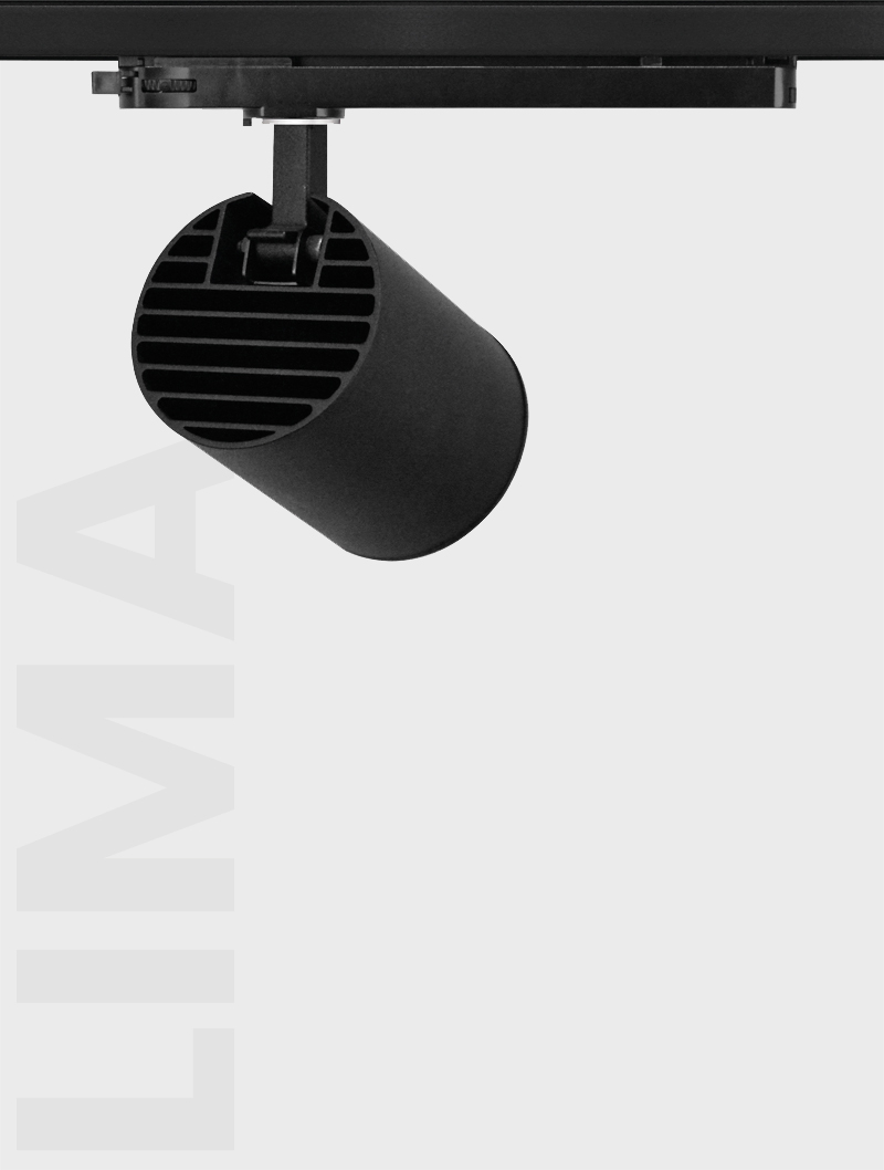 Masialux MR 1010-85 Ray Spot Aydınlatma Ray Spot armatürü