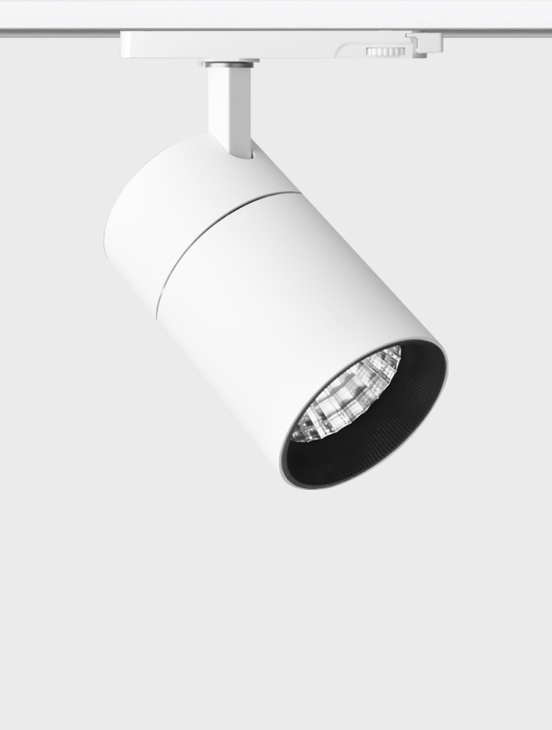 Masialux MR 1021-100 Ray Spot Aydınlatma Ray Spot armatürü