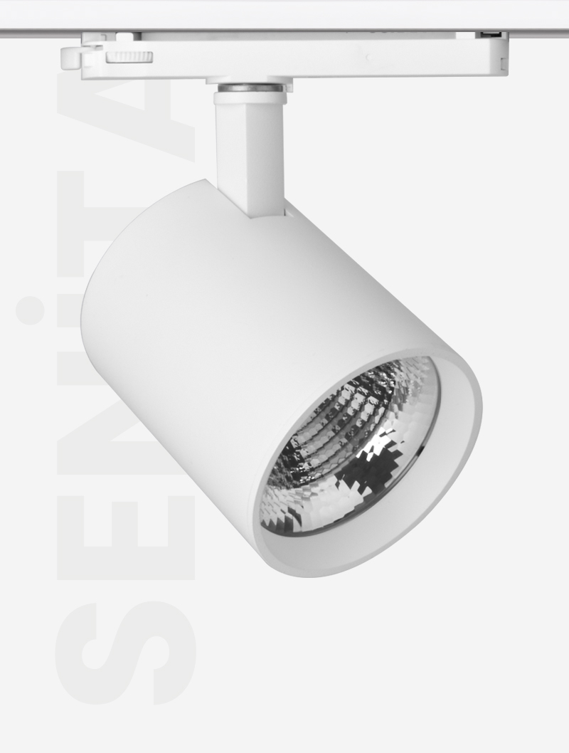 Masialux MR 1030-100 Ray Spot Aydınlatma Ray Spot armatürü