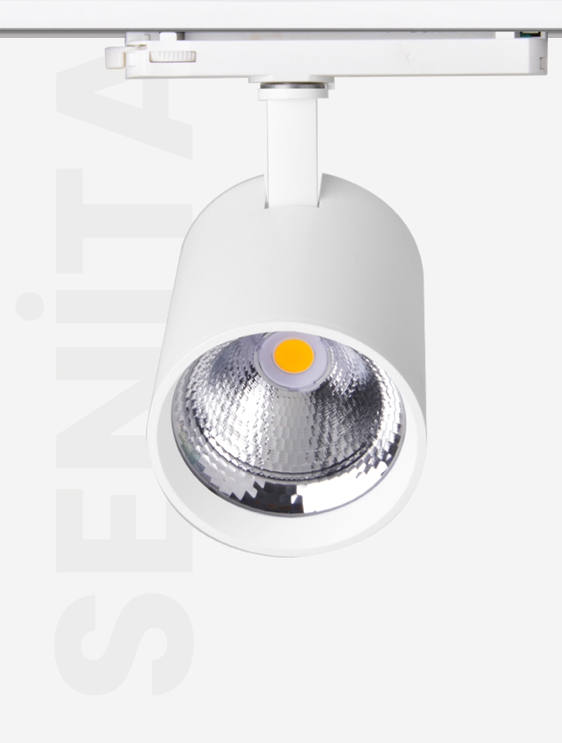 Masialux MR 1030-100 Track Spotlight Track Spotlight armatürü