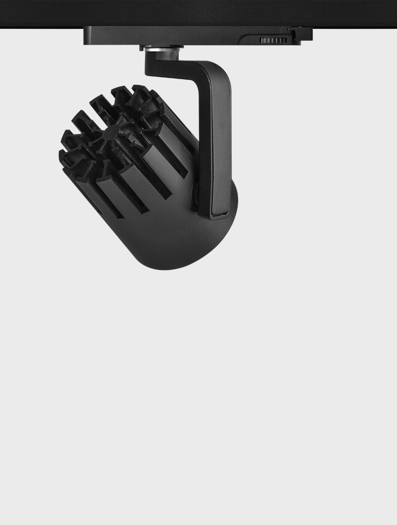 Masialux MR 1081-100 Ray Spot Aydınlatma Ray Spot armatürü