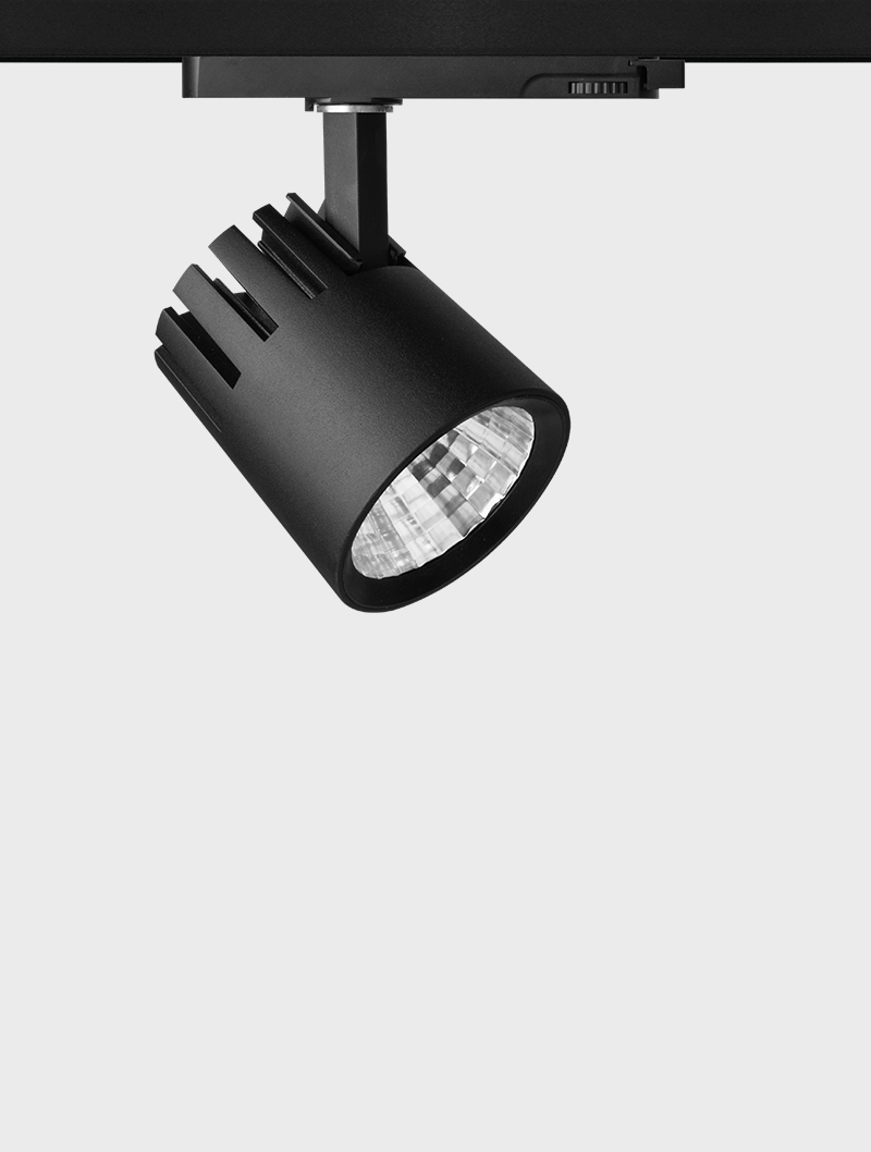 Masialux MR 1082-100 Ray Spot Aydınlatma armatürü