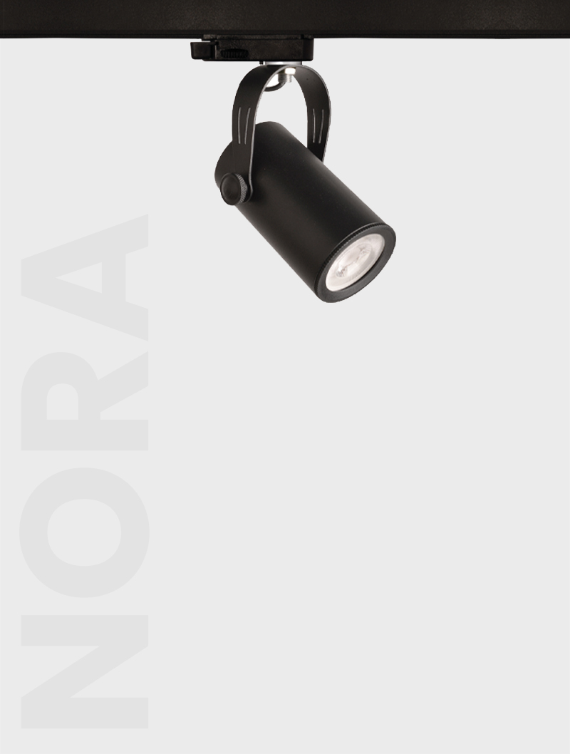 Masialux MR 421 Ray Spot Aydınlatma Ray Spot armatürü
