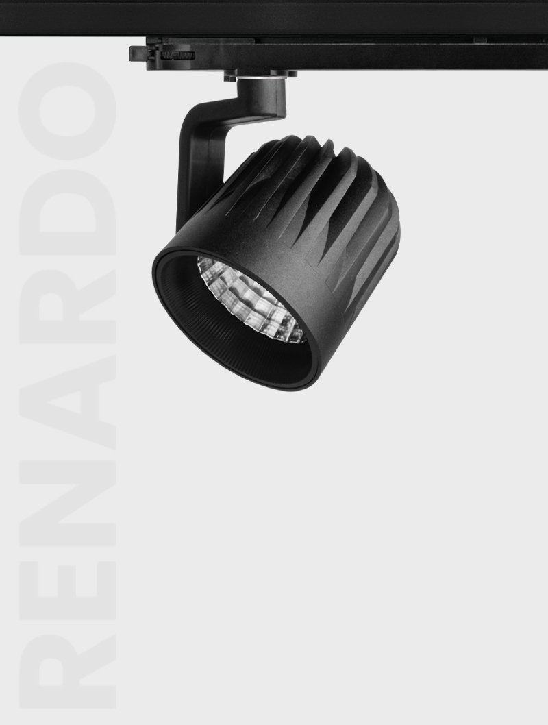 Masialux MR 602-100 Ray Spot Aydınlatma Ray Spot armatürü