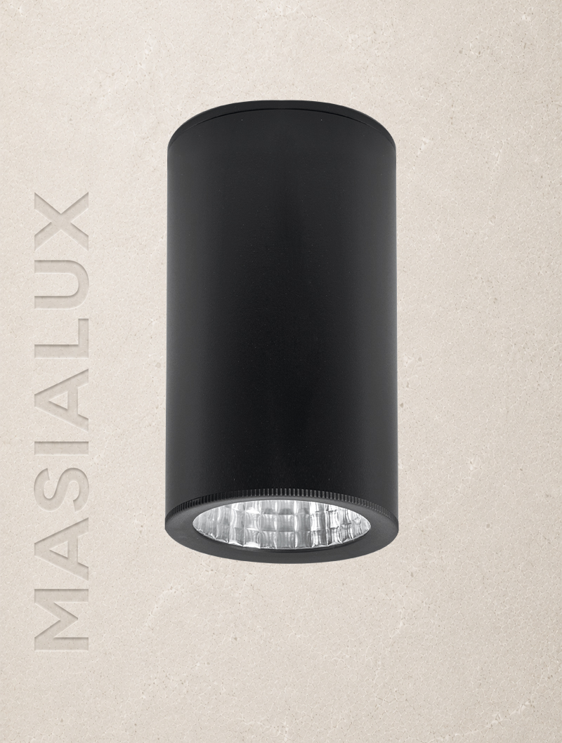 Masialux MS 605-100 Sıva Üstü Aydınlatma armatürü