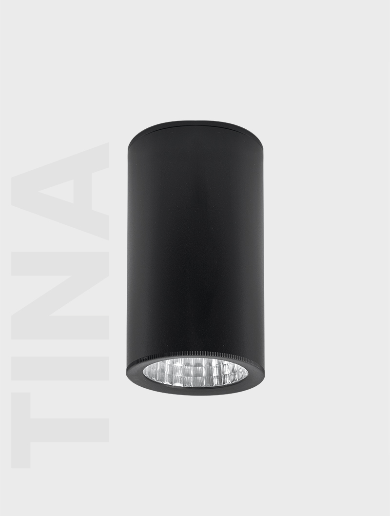 Masialux MS 605-100 Surface Mounted Lighting Surface Mounted Lighting armatürü
