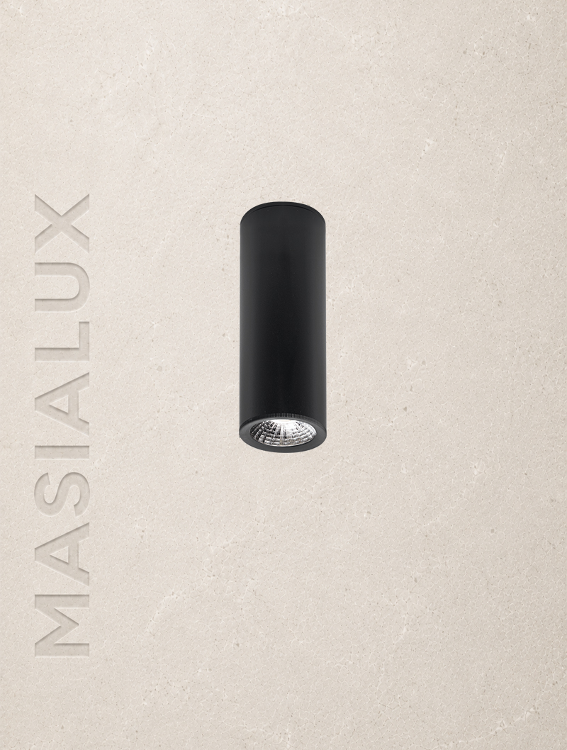 Masialux MS 605-60 Sıva Üstü Aydınlatma armatürü