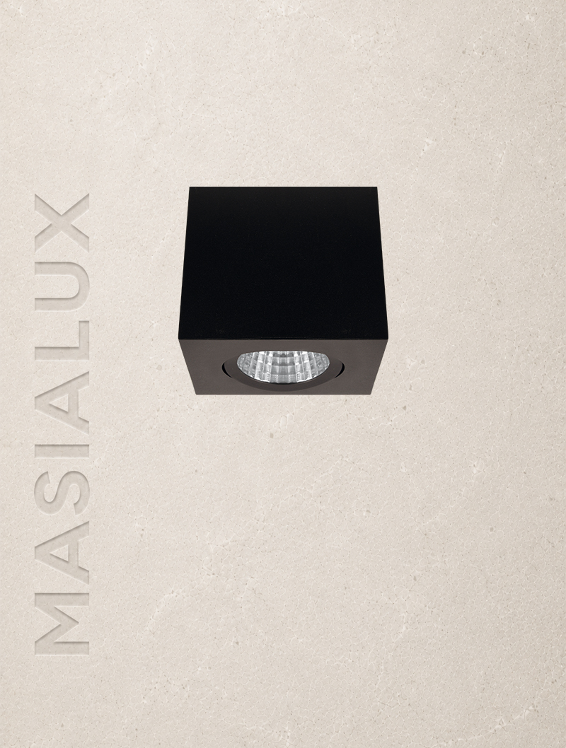 Masialux MS 612-1-100 Sıva Üstü Aydınlatma armatürü