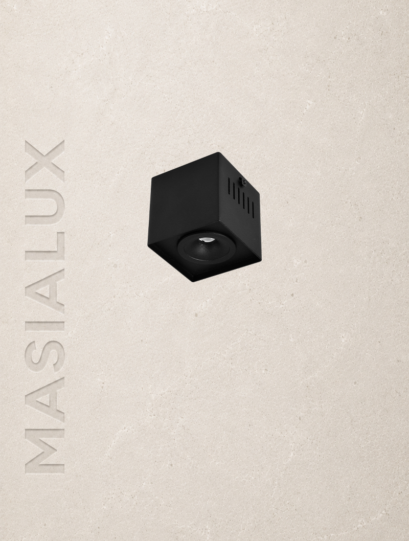 Masialux MS 650-1 Surface Mounted Lighting LED armatür 3W IP20