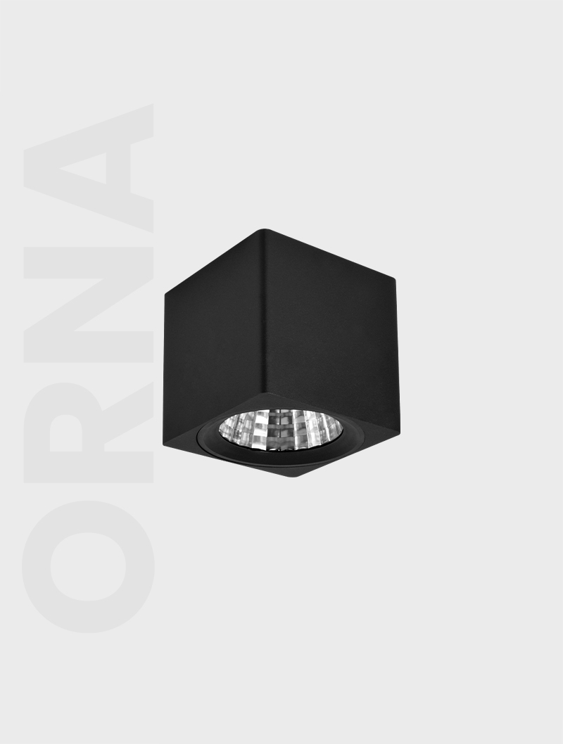 Masialux MS 701-110 Sıva Üstü Aydınlatma Sıva Üstü Aydınlatma armatürü