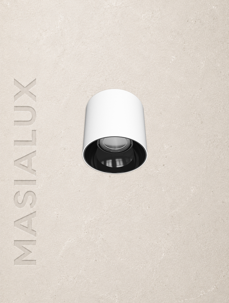 Masialux MS 702-2 Sıva Üstü Aydınlatma LED armatür 15W IP65