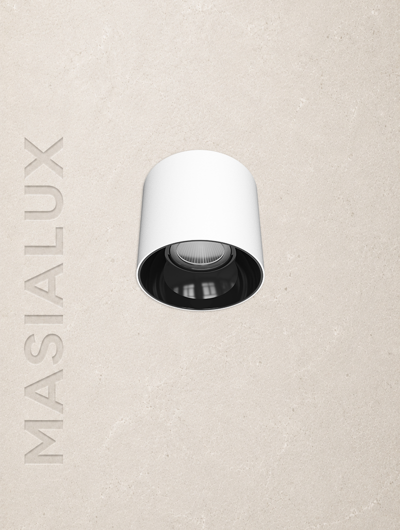 Masialux MS 702-3 Surface Mounted Lighting LED armatür 20W 30W IP65