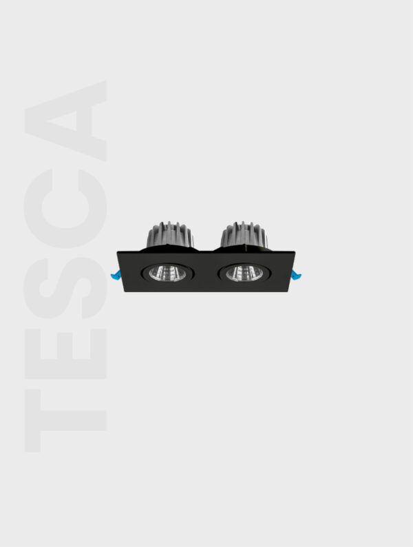 TESCA SERİSİ MD 101-2-60 SIVA ALTI SPOT