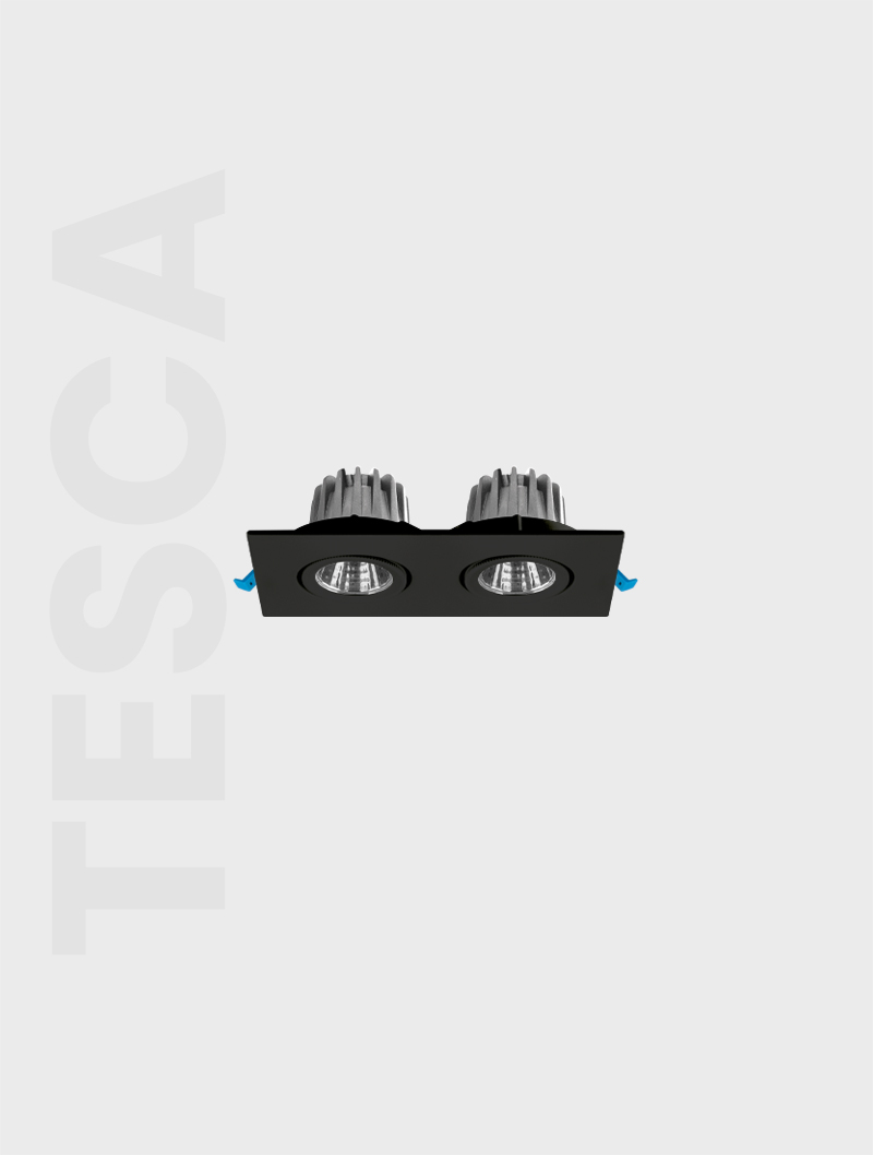 TESCA SERİSİ MD 101-2-60 SIVA ALTI SPOT